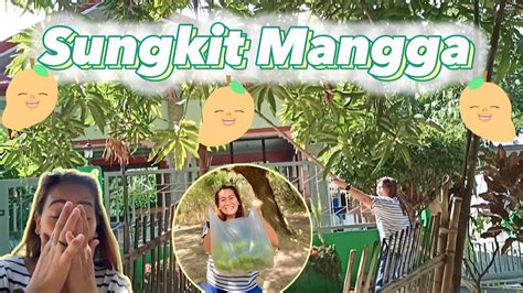 sungkit ng mangga in english|SUNGKIT (Tagalog).
